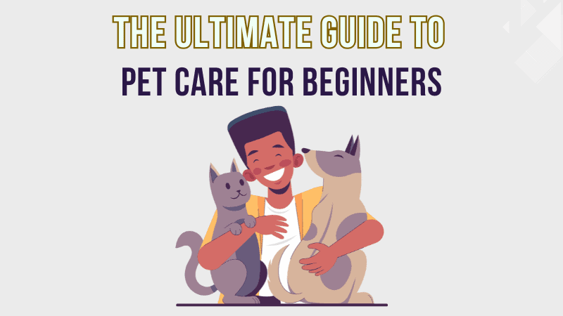 The Ultimate Guide to Pet Care for Beginners