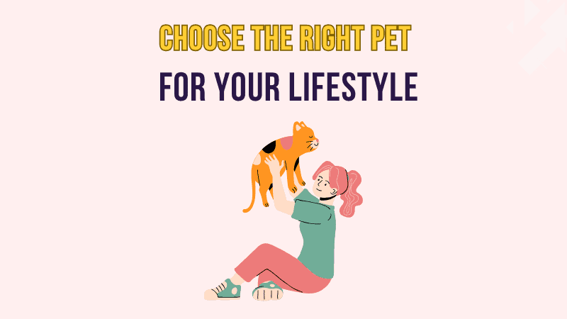 How to Choose the Right Pet for Your Lifestyle
