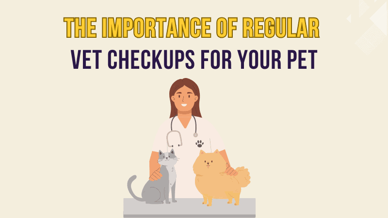 The Importance of Regular Vet Checkups for Your Pet