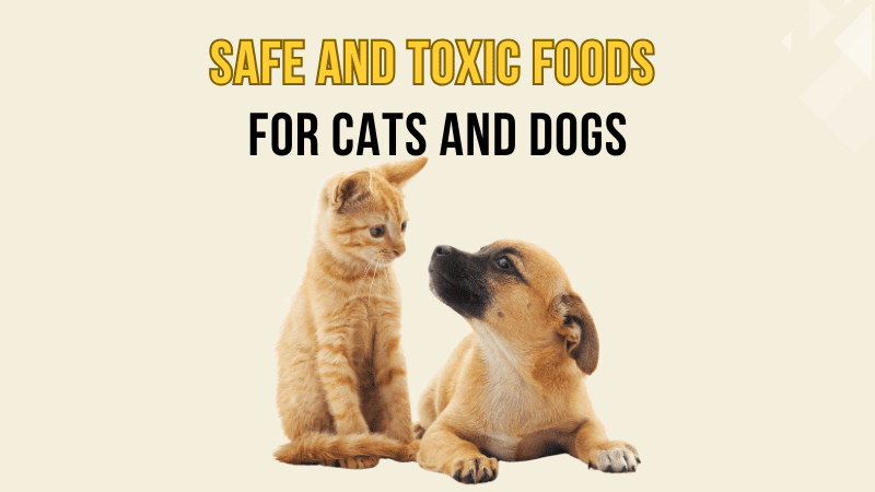 Safe and Toxic Foods for Cats and Dogs