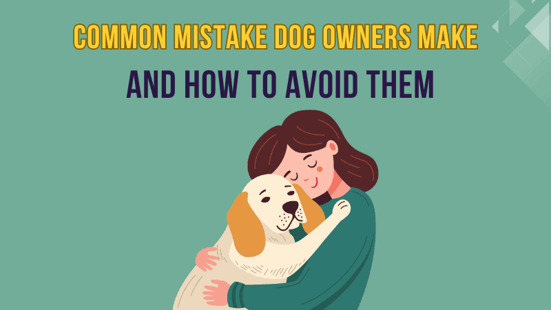 10 Common Mistakes Dog Owners Make and How to Avoid Them