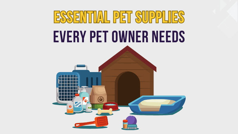 Essential Pet Supplies Every Pet Owner Needs